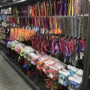 이츠펫 온양점 이미지