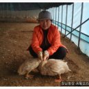 문막자동차공업사 이미지