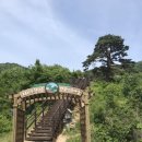 천년송가는길