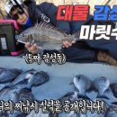 전하낚시 이미지