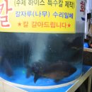 대양회직판장