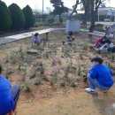 서운초등학교 이미지