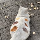 당가경로당 이미지