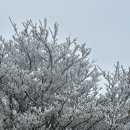 중산오름공원 화장실 | 제주도 한라산 윗세오름 영실코스(영실주차장/교통편/소요경비)
