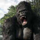 킹콩 이미지