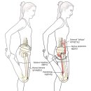 경희태림한의원 이미지