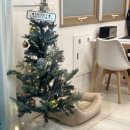 위드 더 독 이미지