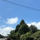 민성목장 | 제주는 뜨거워