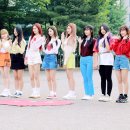 체리블렛 카카오 검색결과