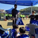 선동잔디구장 천연잔디구장 이미지