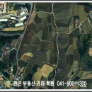 인주중학교 이미지