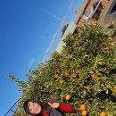 (주)지혜로운세상 이미지