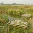 남양호 상류 이미지