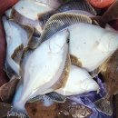 고천동 테니스장 이미지