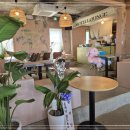 암파스타레속초 이미지