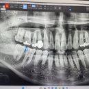 내인생치과의원 이미지