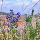 영자네민박 이미지