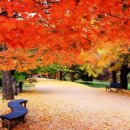 진주(부산) 이미지