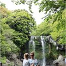 천제연폭포 이미지