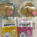 인천 애견수제간식 숭의동 멍이네이야기 영양식 추천