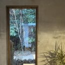 미스유얼웨이즈