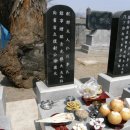 상서대 이미지