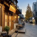 정다운밥상 | 삼성동 점심 고민 끝! 우연히 찾은 숨은 보석, ‘정다운 밥상’ 내돈내산 솔직 후기