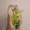 병천-15-03 이미지