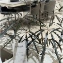 덕림환경 | 잠실 미용실 우아르헤어 송파점 방문 전 디자이너 전문성과 모발 상태별 맞춤 상담으로 완성하는 스타일...