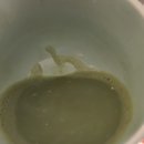 보성익스프레스 | 쑥 스트로베리 쑥차 분말 외