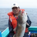 여주-0071 이미지