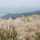 쑥맥 - 중랑구 봉우재로33길 35 | 쑥맥