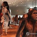 전곡선사박물관 Daum카페