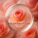 보떼메이트 | 샹테카이 '립 시크' 투명한 광택과 선명한 발색, 그리고 편안함까지