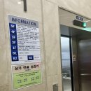 태평양뷰티라인 | [청량리 왁싱] 인생 첫 헤어라인 왁싱 '혜젤뷰티' 청량리역점 솔직 후기 (feat. 예쁜 사장님)