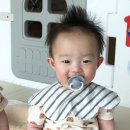 윤수목장 이미지