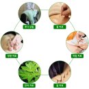 복모아한의원 이미지