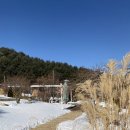 몽더가든