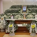 전*식 - 안양시 동안구 부림로 52 | 전*식