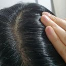 내돈내산_&#34;리체나 3분 샴푸형 염색제&#34;_퍼퓸 헤어칼라 vs 골드 헤어칼라 비교_사용 꿀팁