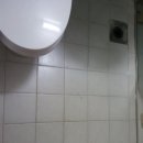 향목그라비스아파트 | #천안아산줄눈시공# 천안아산향목그라비스 줄눈시공 더해피줄눈