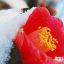 365사랑약국 이미지