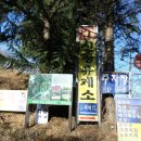 상원동 Daum카페
