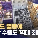 푸드김&밥 이미지