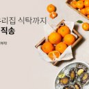 완도종합식품 이미지