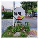 목포낙지 이미지