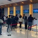 태평R ~ 시민회관앞 | 히사이시 조 영화음악 콘서트 2024 부산 파이널 : 11월 23일 토요일 부산시민회관 관람 솔직후기