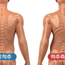 티피컬짐 분평점 이미지