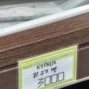 남산공원(정자아래) | Ep1. 중구: 서울 투어 좀 하자