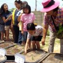 보운초교 이미지